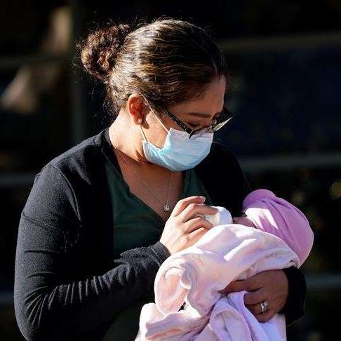 Photo article La Presse Canadienne